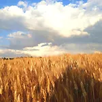 Alojamento de Turismo Rural Casa Rossa *