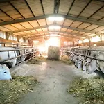 Alojamento de Turismo Rural Casa Rossa Chianciano Terme