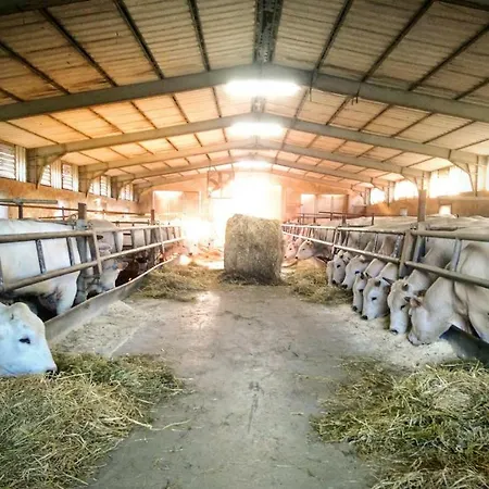 Farm stay Casa Rossa Chianciano Terme