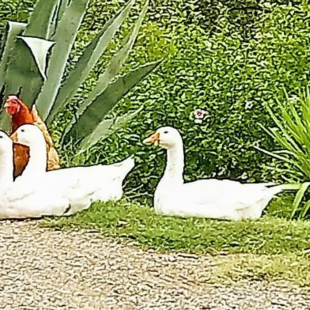Agroturismo Casa Rossa *